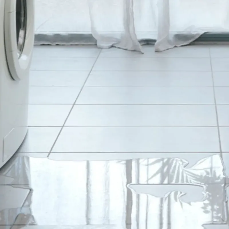 Appliance Leak Cleanup in Austin, MN