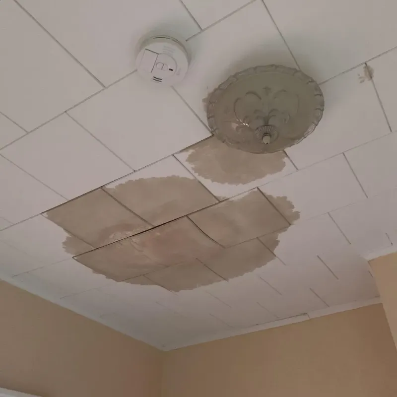Ceiling Water Damage Repair in Austin, MN