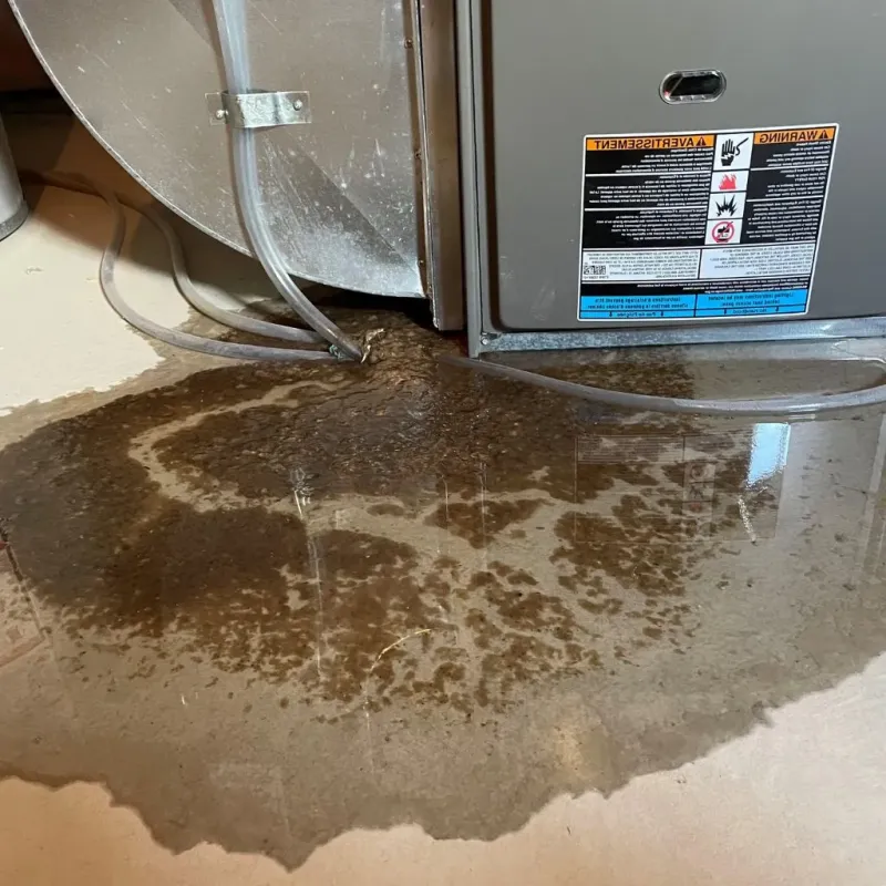 Pipe Burst and Leak Restoration in Austin, MN
